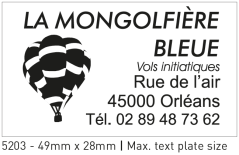 Pečiatka Professional 5203 (49 x 28 mm)