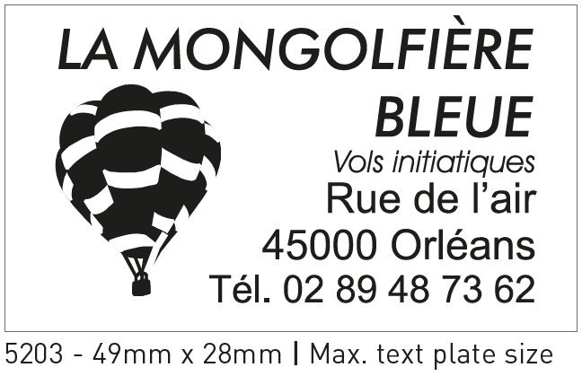 Pečiatka Professional 5203 (49 x 28 mm)